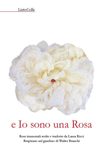  - copertina_e_io_sono_una_rosa