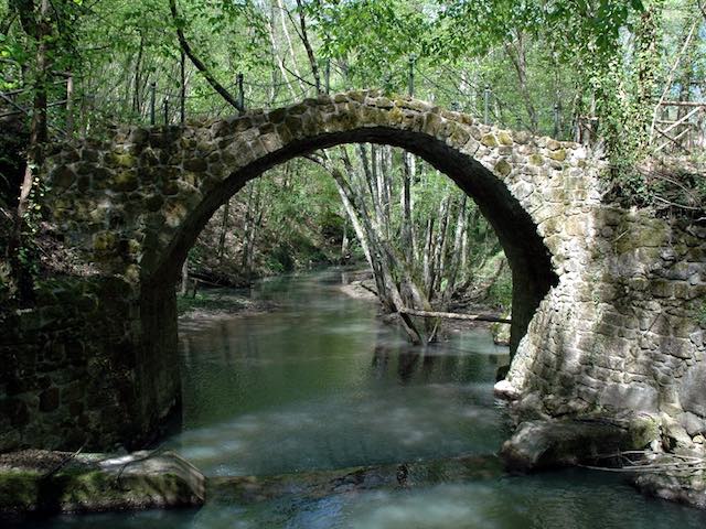 Nella Riserva Naturale Monte Rufeno, lungo "la Scialimata e il Subissone"