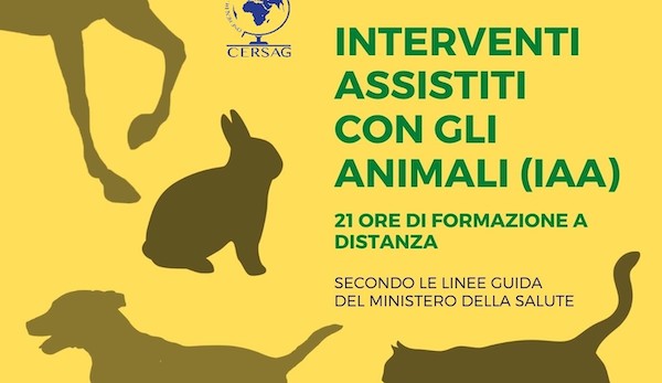 Corso di formazione a Saluzzo per guardiani e conducenti veicoli per  trasporto animali vivi  L'obiettivo è divulgare la cultura del benessere  animale -  - Quotidiano on line della provincia di