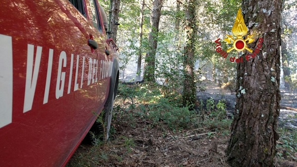 Vigili del Fuoco e Sasu ritrovano una trentenne che si era smarrita