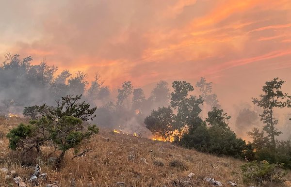Grande attenzione alla prevenzione degli incendi boschivi, pubblicata l'ordinanza comunale