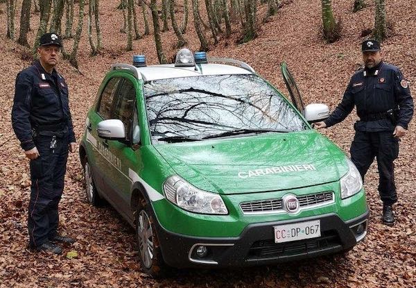 Raccolta funghi senza autorizzazione, numerosi sequestri e sanzioni per quasi 1.300 euro da parte dei Carabinieri Forestali