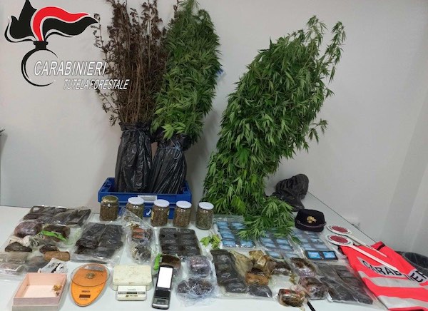 Deposito di droga in un casolare, arrestato un 60enne e sequestrati oltre 14 chili di stupefacenti