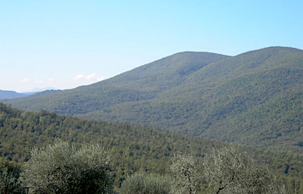 Il Comune di Allerona guarda con interesse al Parco Interregionale Monte Rufeno e Selva di Meana